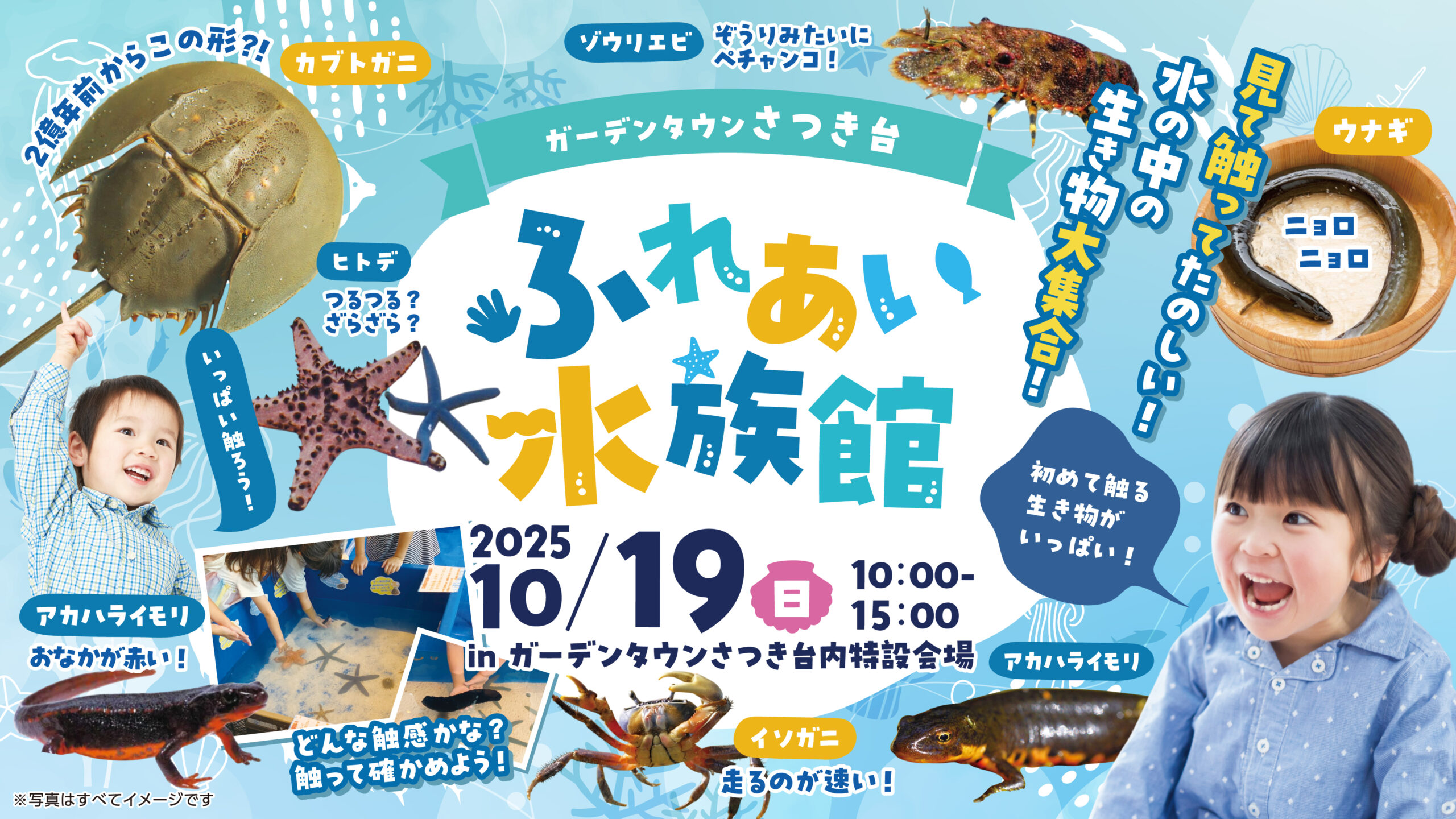 参加無料